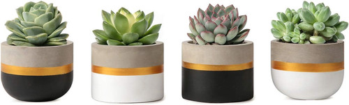 Mkouo 8cm cement plant pots - 8cm,
