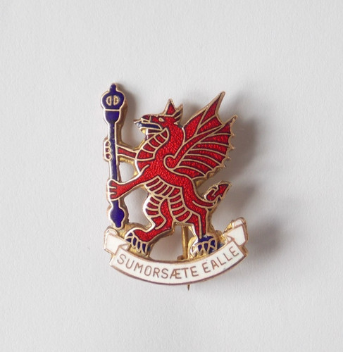 Rare vintage enamel - vintage,