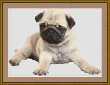 Pug Dog Cross Stitch Kit