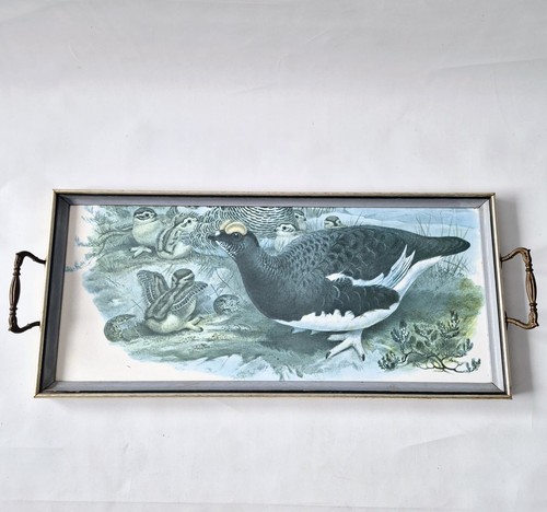 Vintage game bird serving tray - vintage,