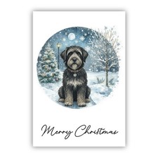 Bouvier des Flandres Christmas