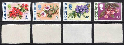 Bermuda sg303 set 4 with - 4,