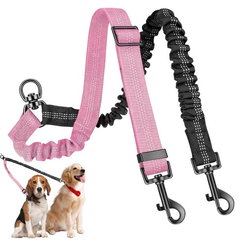 Double dog lead - dog, lead,double