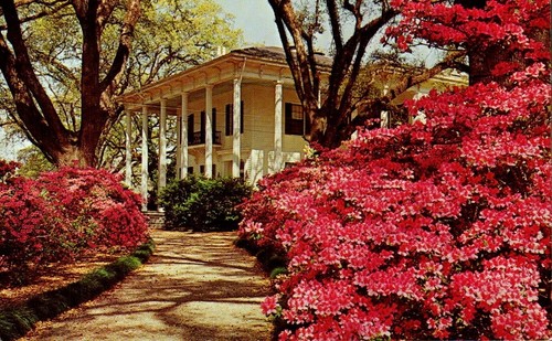 Postcard the mitchell home - -,