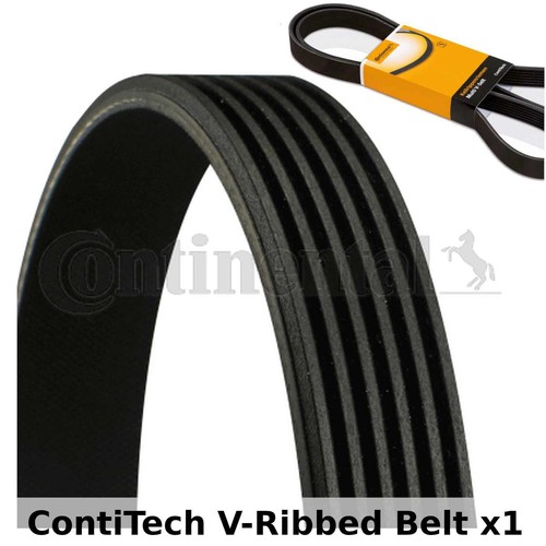 Contitech ribbed belt - v-ribbed,