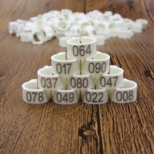 Bird leg rings - bird,