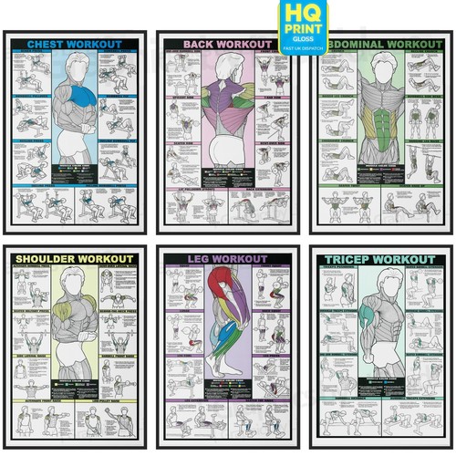 Gym workout poster all - poster, body
