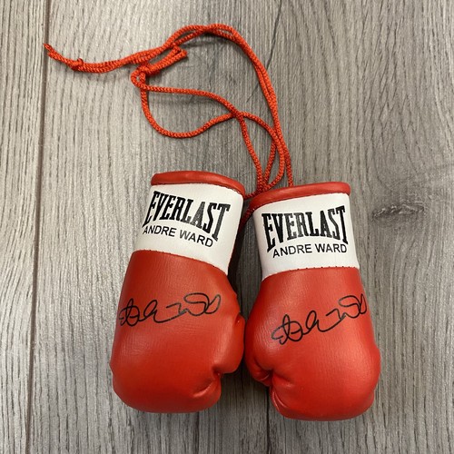 Andre ward mini - andre, gloves