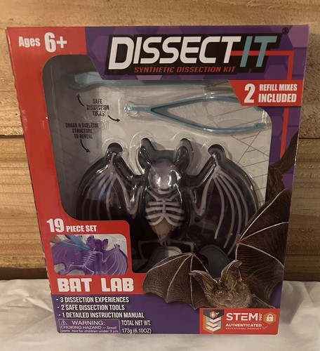 Dissect bat lab - it,