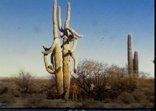 SW DESERT SOUTHWESTERN US