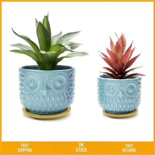 Vibrant turquoise ceramic owl - vibrant,
