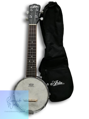 Aria acoustic instrument - aria,