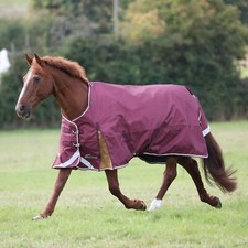 Shires Highlander Plus 100g Turnout Rug - Maroon
