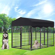 Large outdoor dog - outdoor, heavy