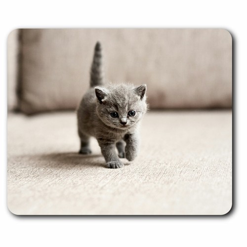 Computer mouse mat british - mouse,