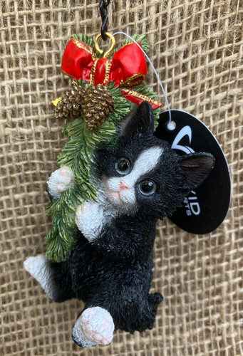 Kitten black white hanging - white, on
