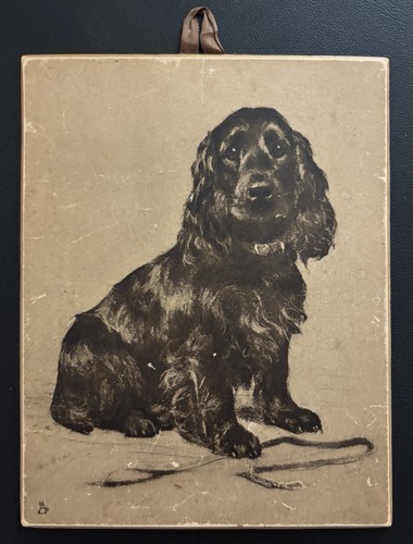 Faithful and true cocker - faithful,