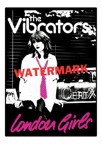 The vibrators poster - the,