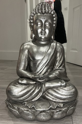 Silver metallic seated - metallic,