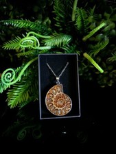 Ammonite Necklace - Genuine fossil ammonite necklace pendant