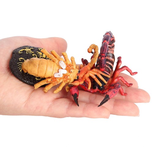 4pcs nature scorpion - 4pcs,