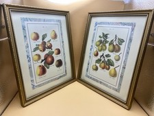 Pair of Apple and Pear Framed Prints