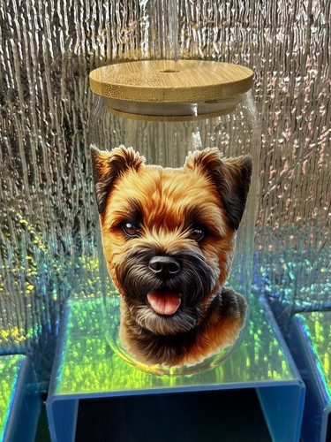 Border terrier glass - ,