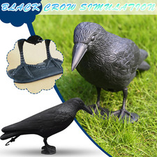Decoy crow bird raven scare - bird,