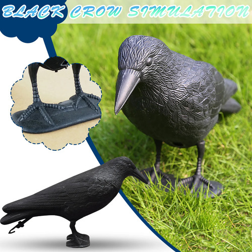 Decoy crow bird raven - crow,