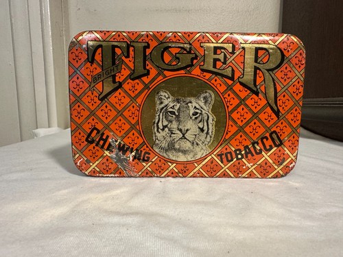 Vintage tiger bright - tiger,