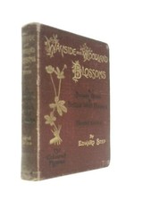 Wayside & Woodland Blossoms Pocket Guide: British Wild Flowers (1896) (ID:01733)