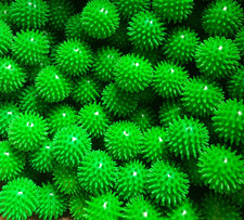 10x Yoga Massage Ball Spikey