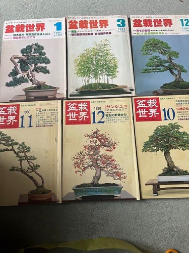 Bonsai vintage japanese - bonsai,