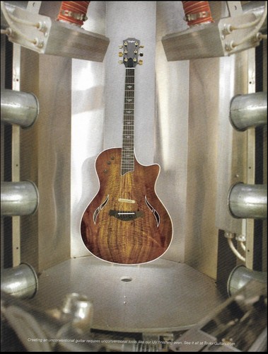 Taylor custom thinline - taylor, t5