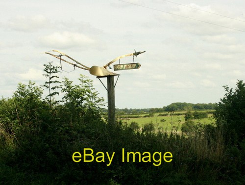 Photo 6x4 2009 old horse - photo,