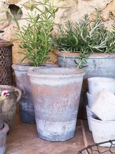 Terracotta Plant Pot Planter