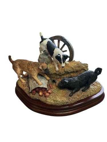 Border fine arts terriers - border,