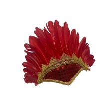 Feather Headdress Accessory