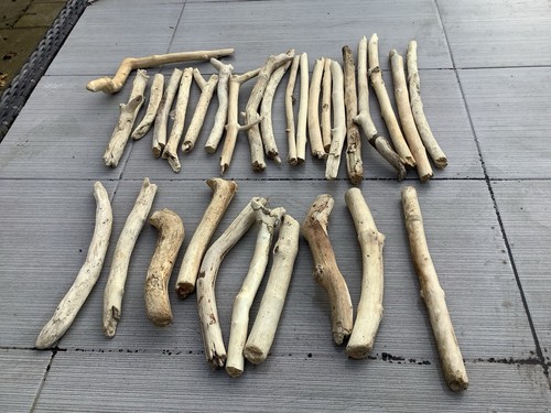 Driftwood sticks for - for, crafts