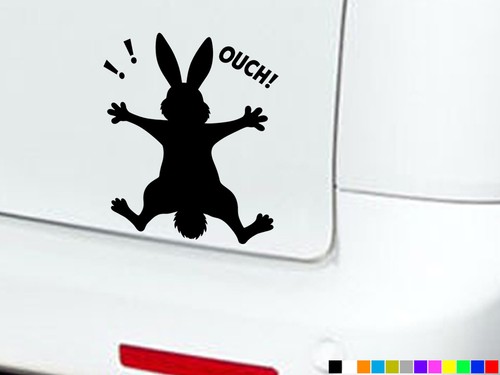 Rabbit splat funny - splat,