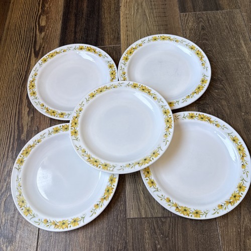 Set pyrex dinner plates - of, 5