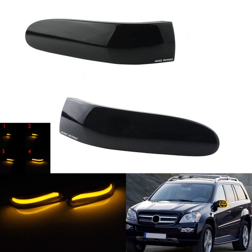 Dynamic led wing - wing, mirror