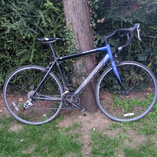 Carrera virtuoso road bike - carrera, l
