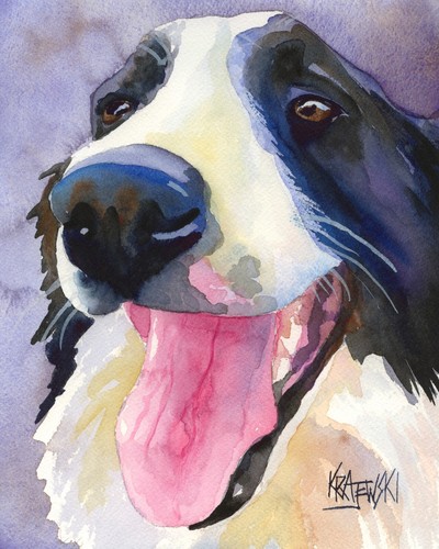 Border collie print - collie,