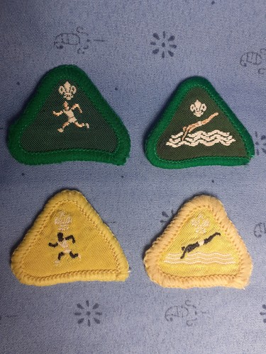 Vintage cub scout - vintage,