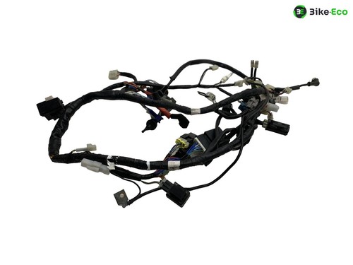 Electric harness yamaha 660 - electric,