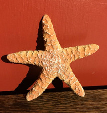 RARE! VINTAGE AAA STARFISH