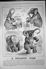 Antique Print Advertisement