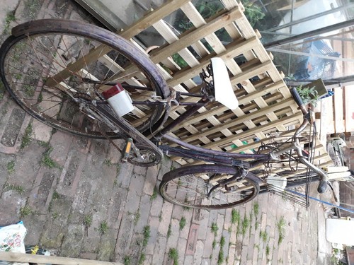 Vintage raleigh cameo - raleigh,