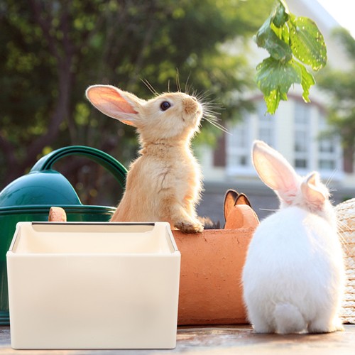 Cage hamster bowl - cage,